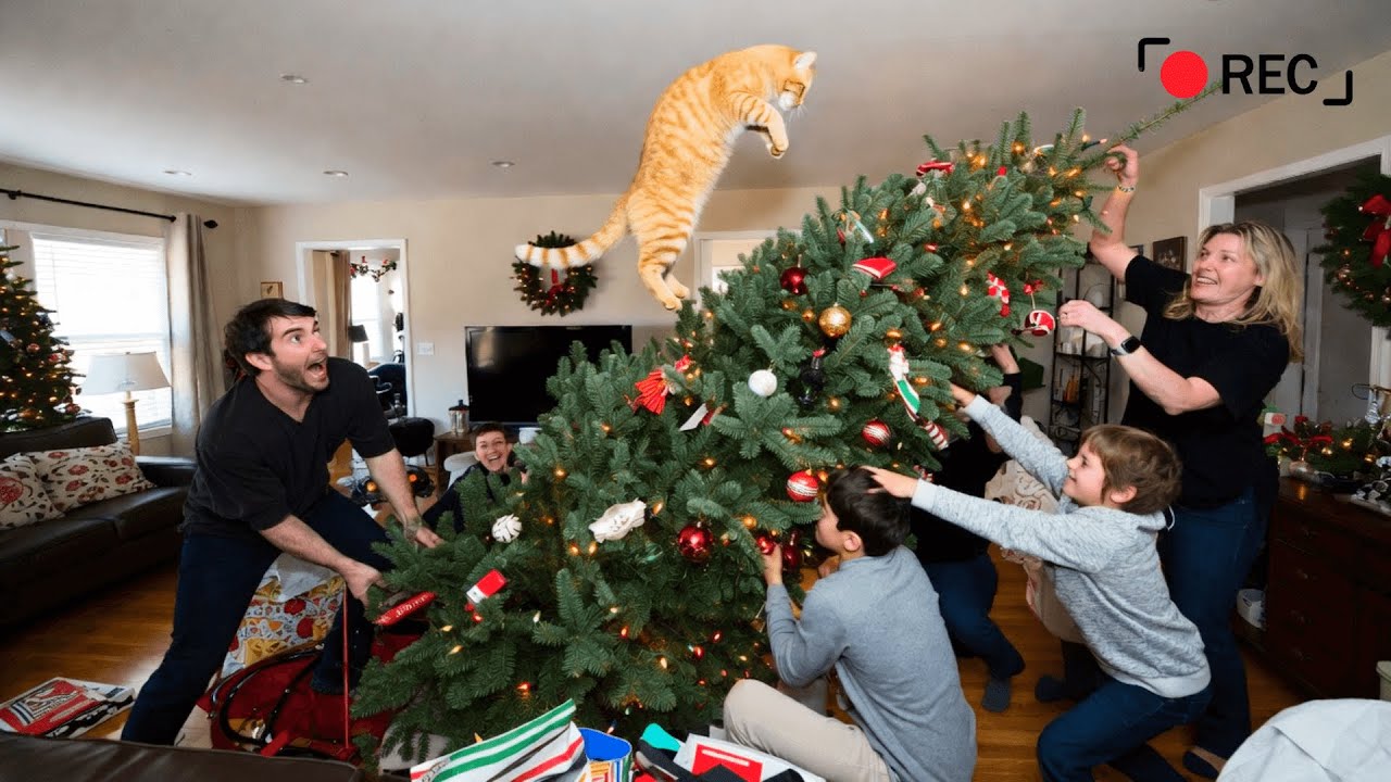 2025 Best Christmas Fails | Holiday Chaos! 🎁🎄On The Naughty List