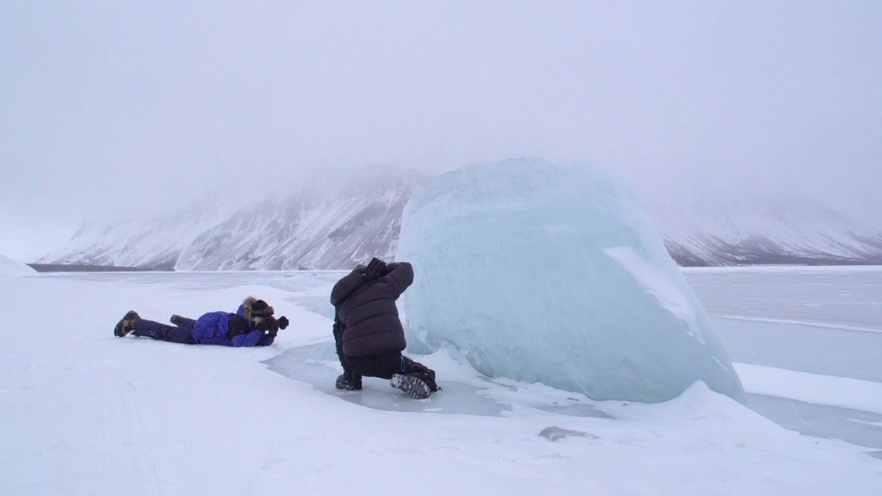 Yukon Winter-Magic Fotoreise 2019 / 2020 / 2021