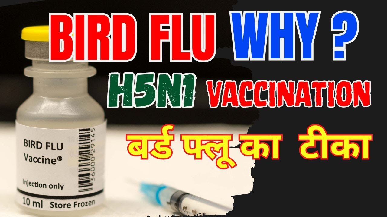 #birdflu #HPAI #vaccination Control & Myth Buster  #H5N1 Dont Panic Poultry Meat and Eggs are safe