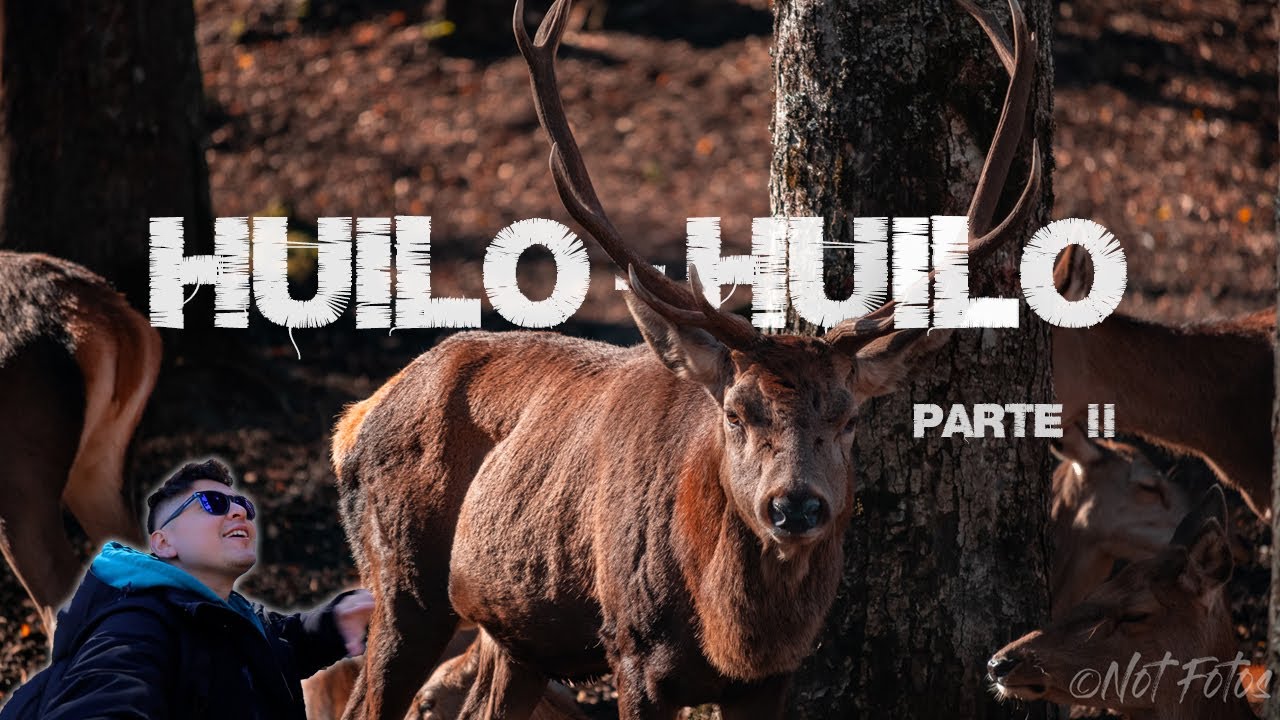 Recorriendo Huilo - Huilo Parte #2  🌳 |  Portal de los Ciervos  |  Museo | 🌎 🌲