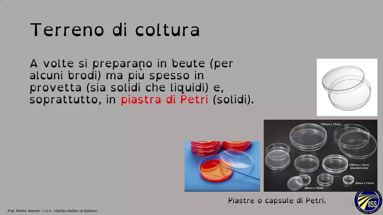 Introduzione ai terreni di coltura - Corso di microbiologia
