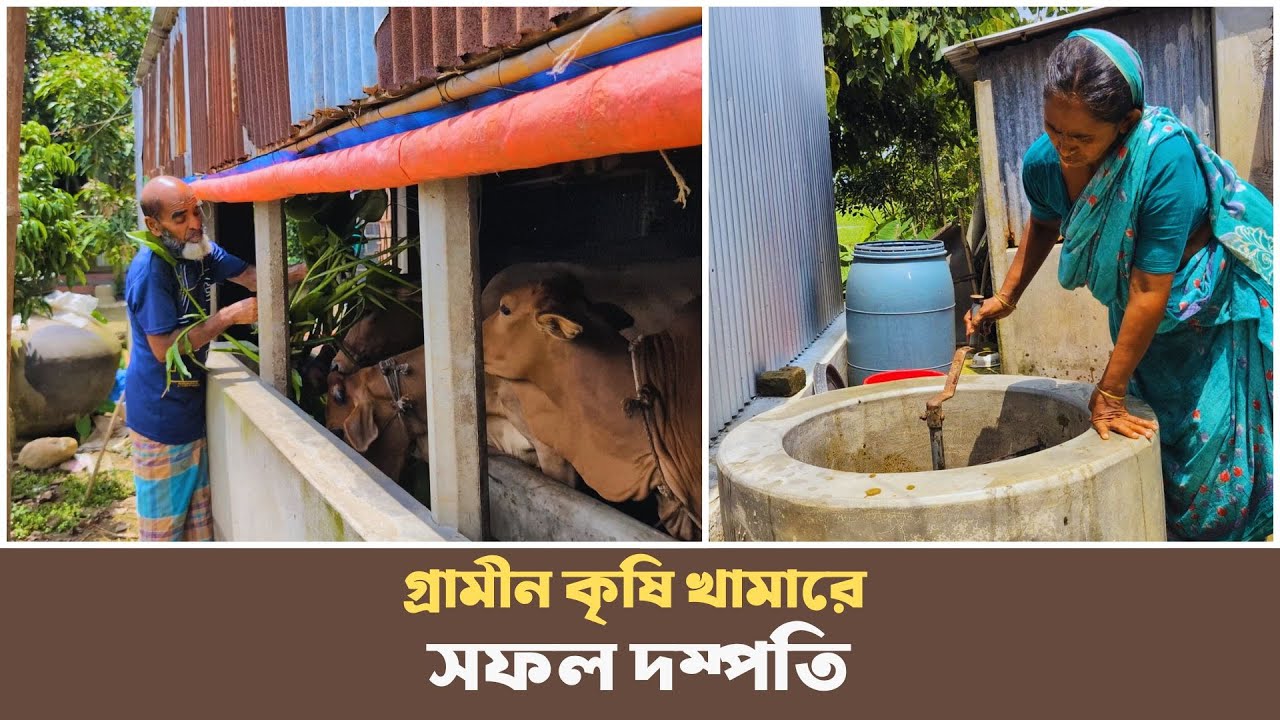 কিছুই কিনে খেতে হয় না এই পরিবারের | Agro Farm | Agriculture | Shakti Foundation