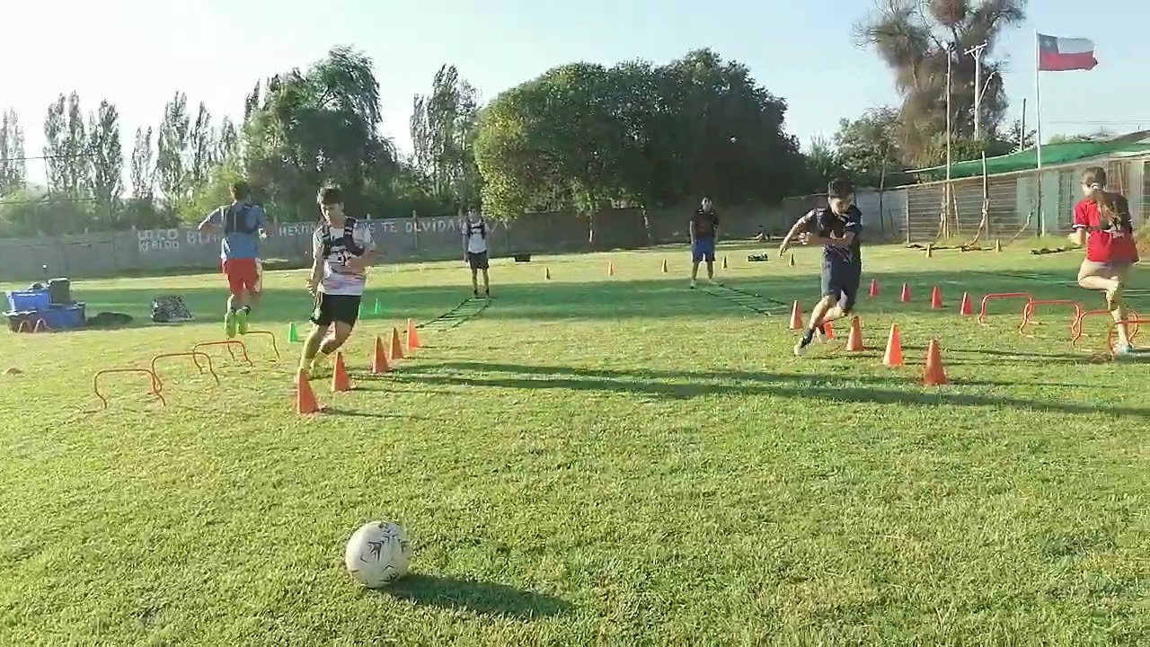 Preparador físico profesional agreditado inaf Chile Manuel Morales trabajos de alto rendimiento 