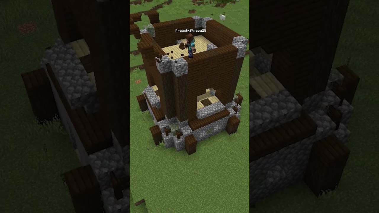 Minecraft Satisfying Reverse Timelapse | Pillager Outpost 