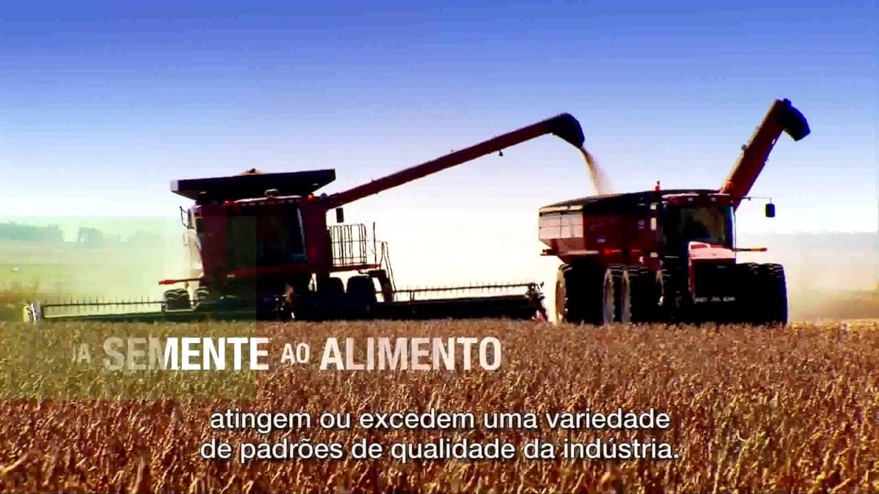 Da Semente ao Alimento
