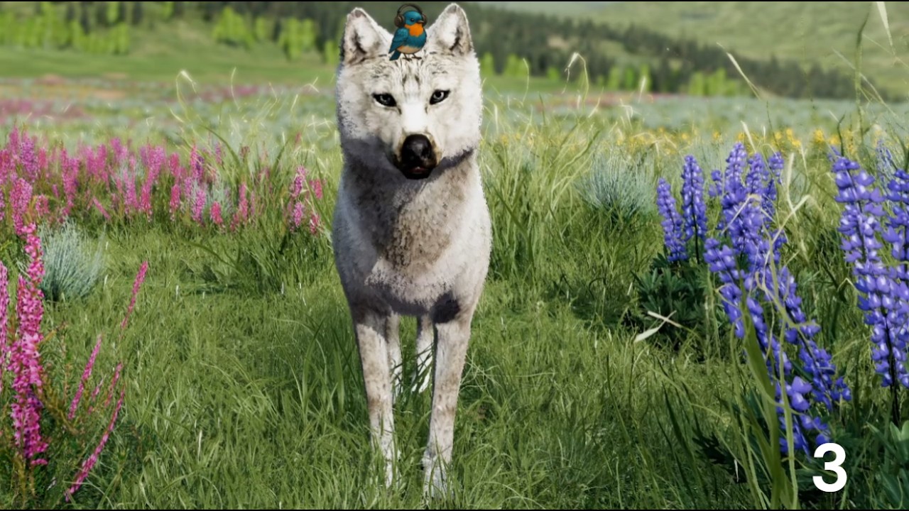 WolfQuest e3