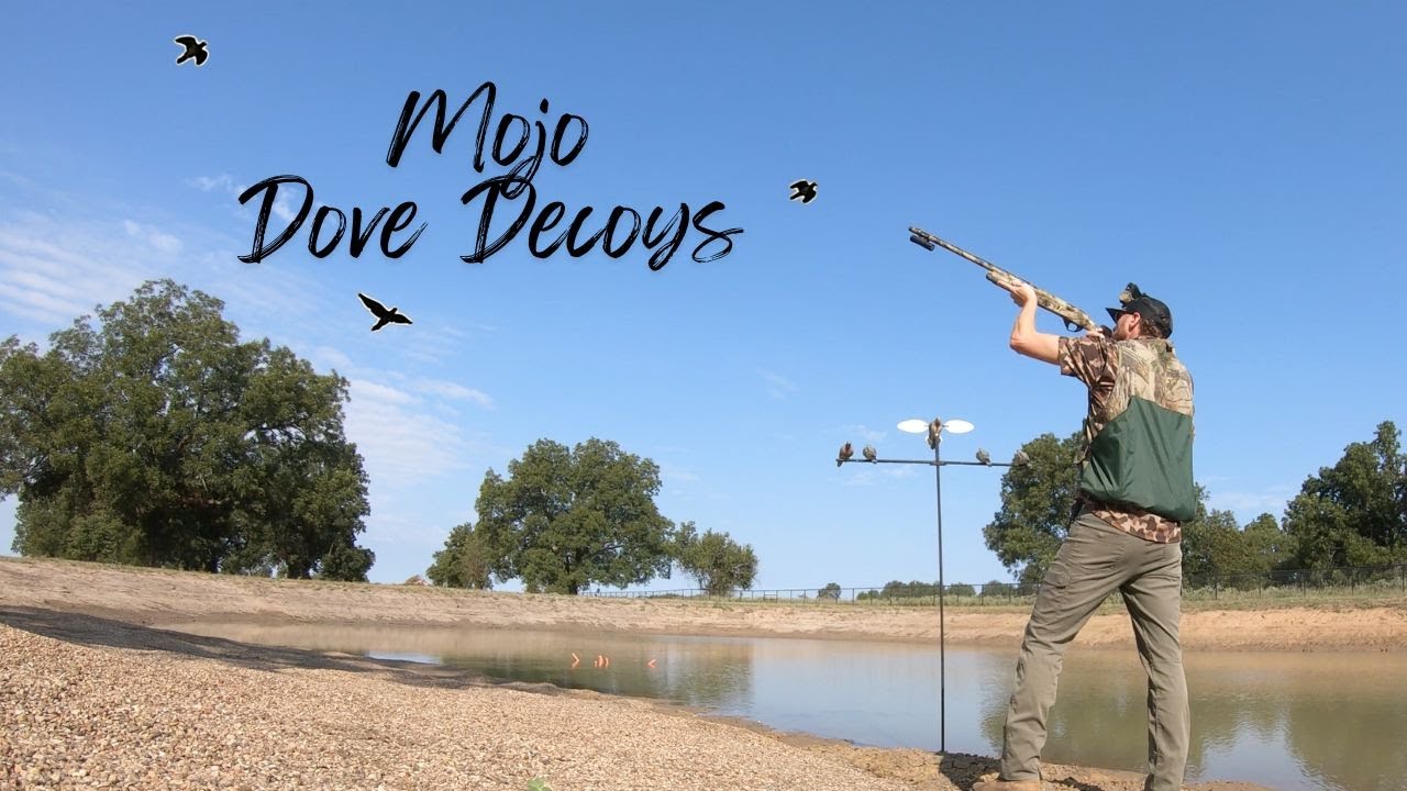 Dove Hunting Over Decoys | North Texas Dove Hunt   HD 1080p