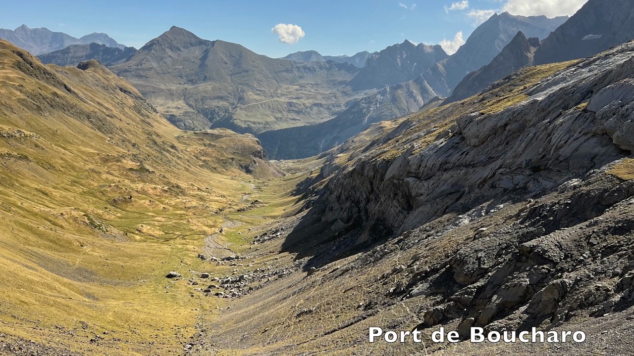 France: Camargue & Pyrenees, September 2025 with Megan Crewe, Willy Perez, and FIELD GUIDES