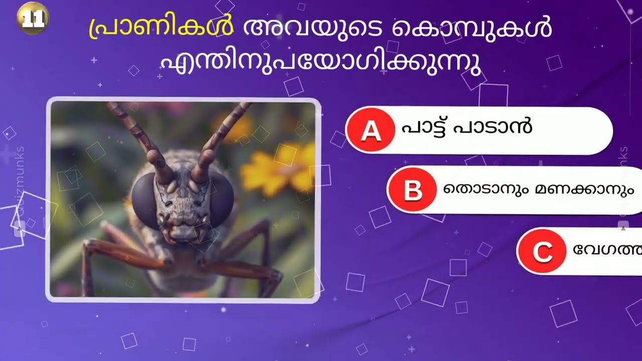 Top 40+ GK Quiz on Bugs & Insects World in Malayalam | Trivia General Knowledge