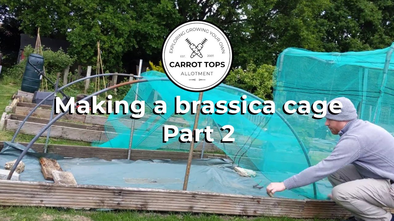 Making a brassica cage - part 2