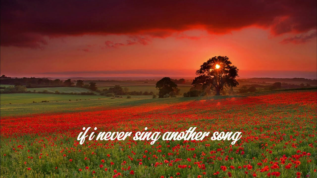 if i never sing nother song