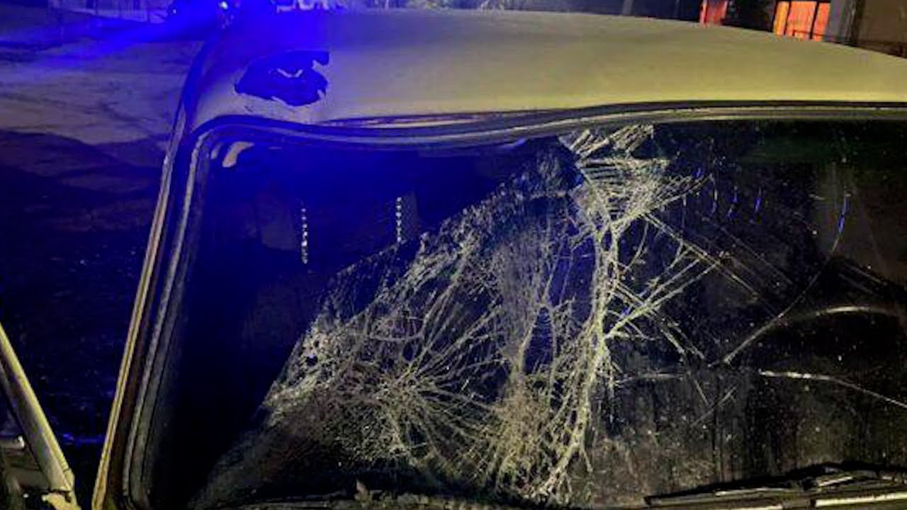 Фатальний наїзд: подробиці загибелі жінки у ДТП на Мукачівщині