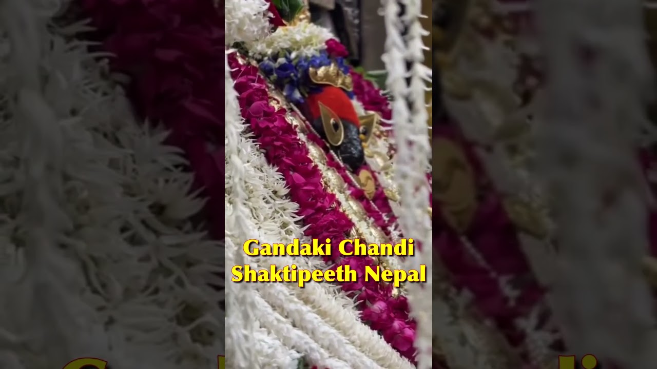 Gandaki Chandi Shaktipeeth Nepal Tirthsthan  #shaktipeeth #matasati #travel