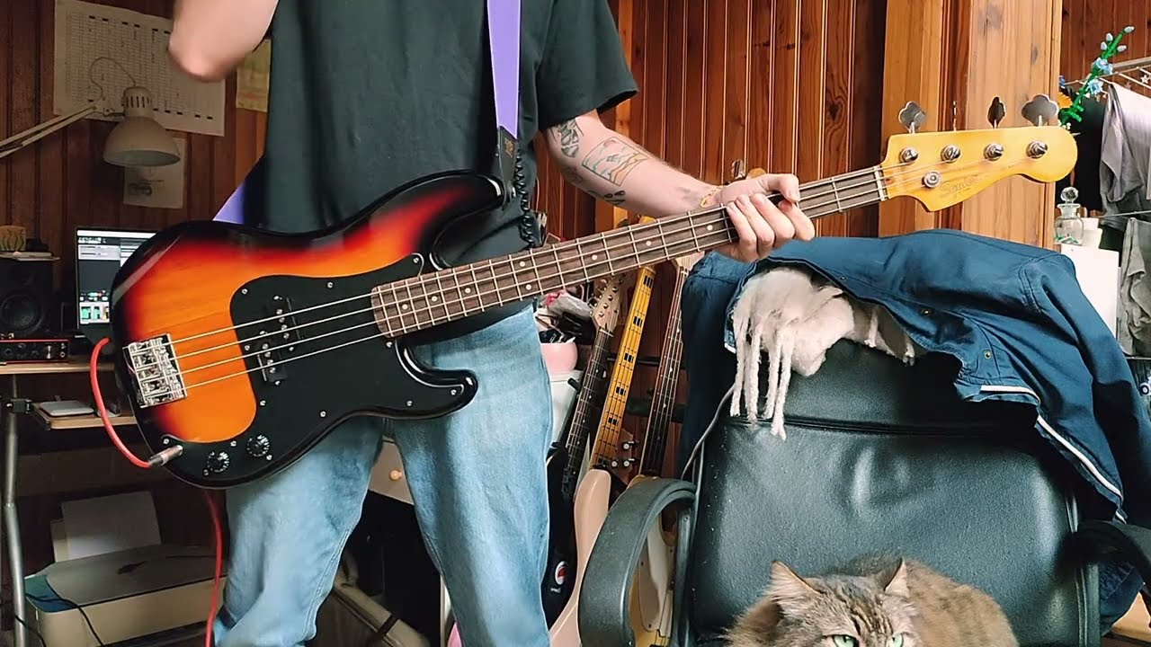 Sum 41 - No Reason [Bass Cover]