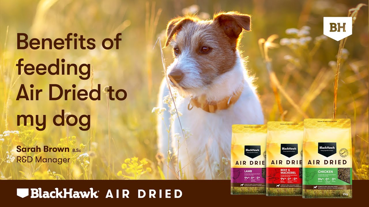 Benefits of feeding Air Dried to my Dog