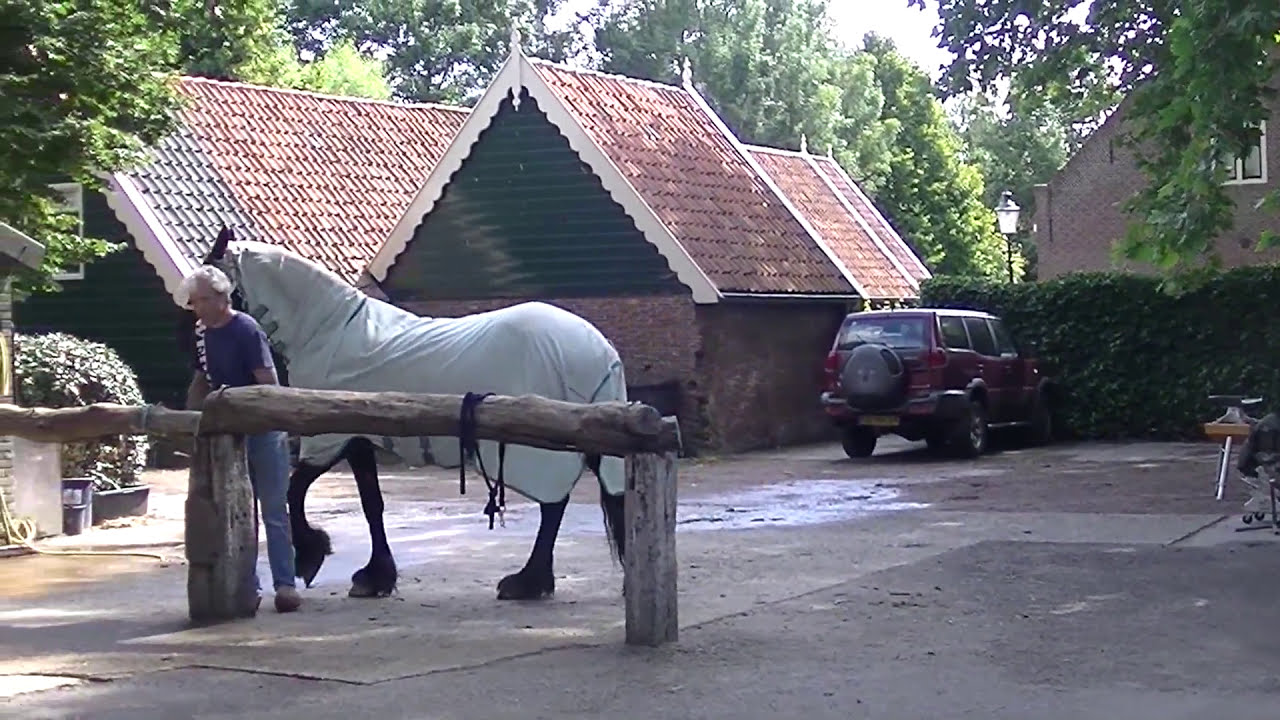 Het beslaan van Paarden door 