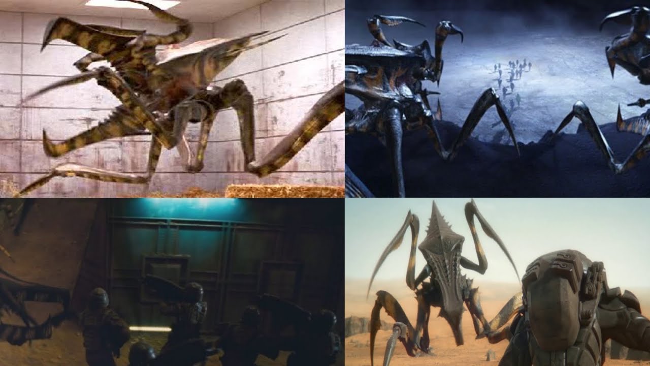 Starship Troopers Saga [1997 - 2017] - Warrior Bug Screen Time 