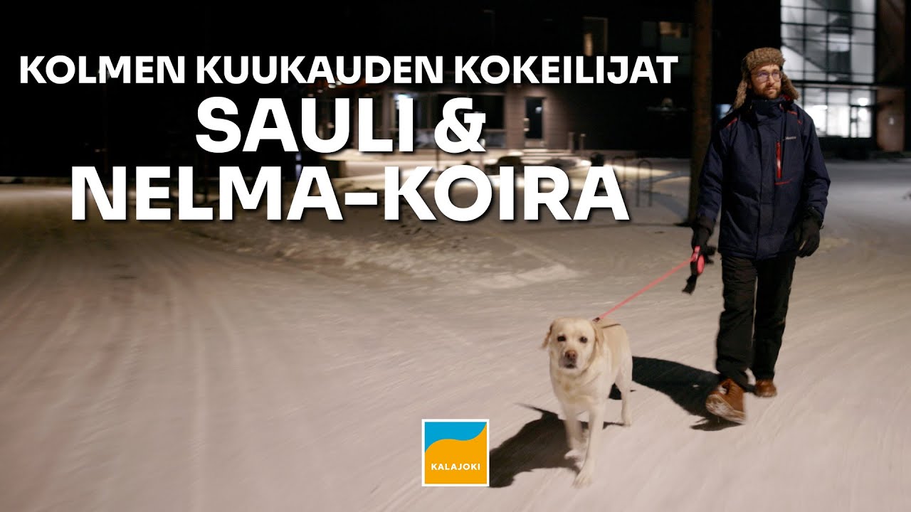 Kolmen kuukauden kokeilu Kalajoella: Saulin esittely