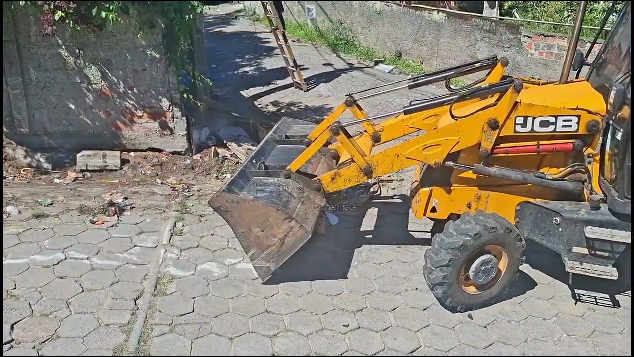 Ações da Serval na Ilha dos Valadares 