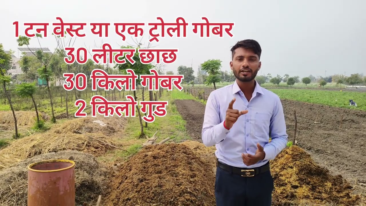 || 45 से 60 दिन में तैयार गोबर से सरल खाद || फसल के लिए वरदान साबित होगा || सरल कम्पोस्ट ||#farming