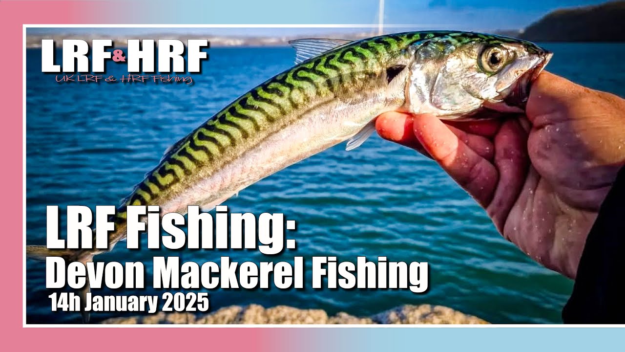 LRF Fishing: Winter Mackerel Fishing in Devon