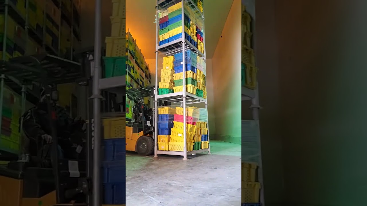 Forklifts operator warehouse leha Agricultural cold storage Mohammed javed