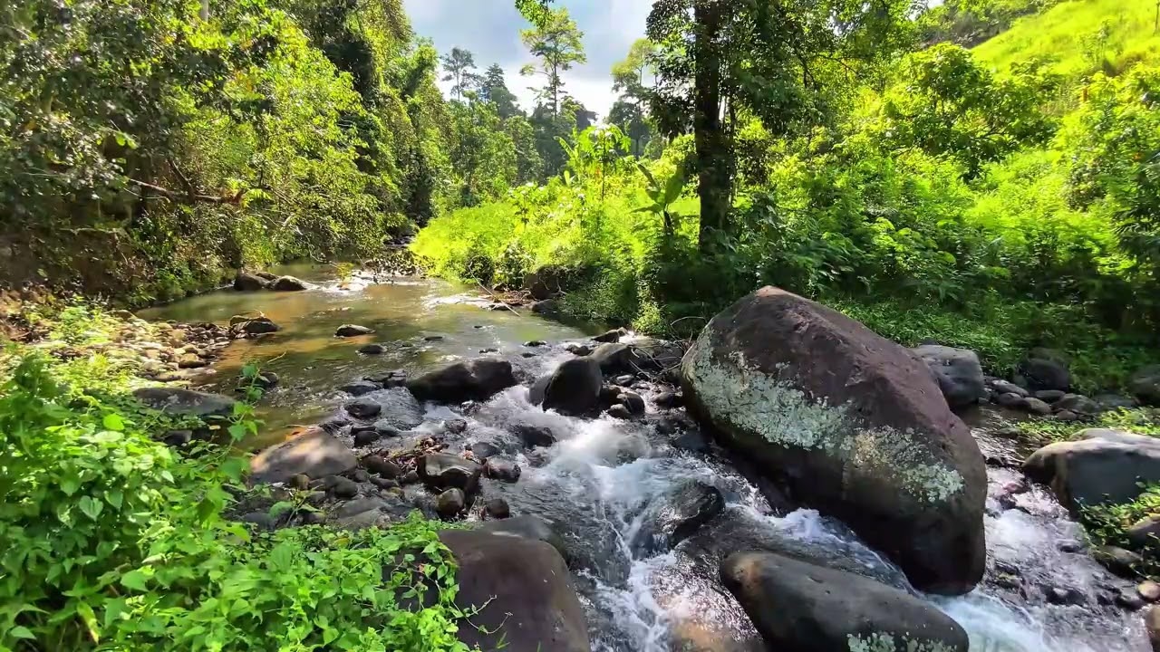 💤 Deep Sleep Therapy | Peaceful River Ripples And Natural White Noise