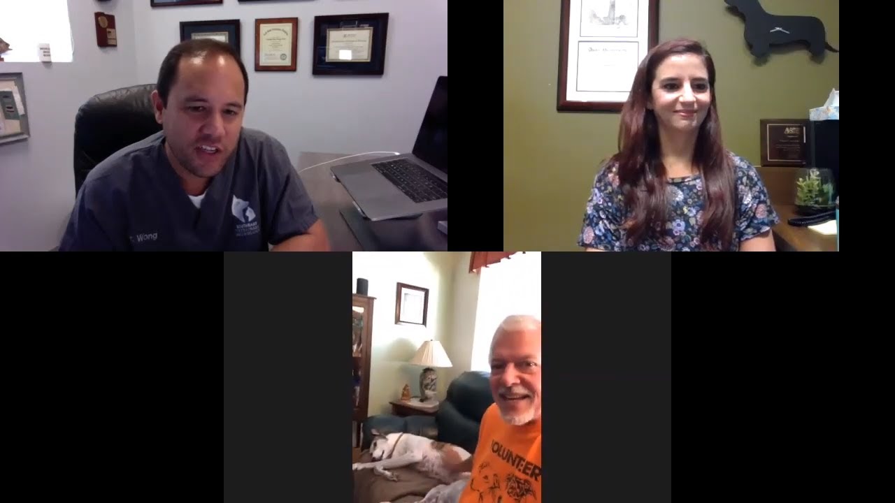 Seizure Management, Flea And Tick Treatments, And More || Q&A - August 19, 2020