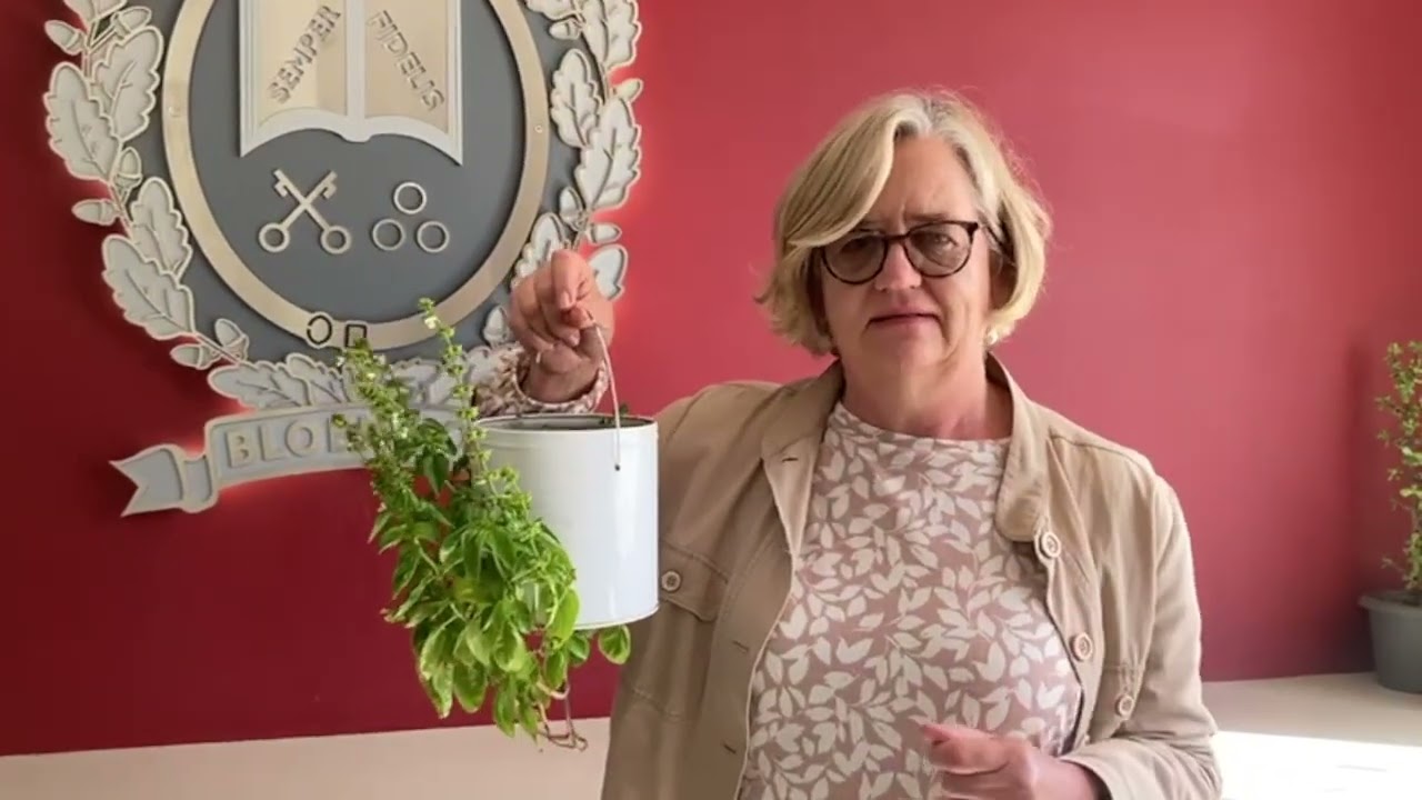 Chaeli's Upside-Down Tomato Challenge