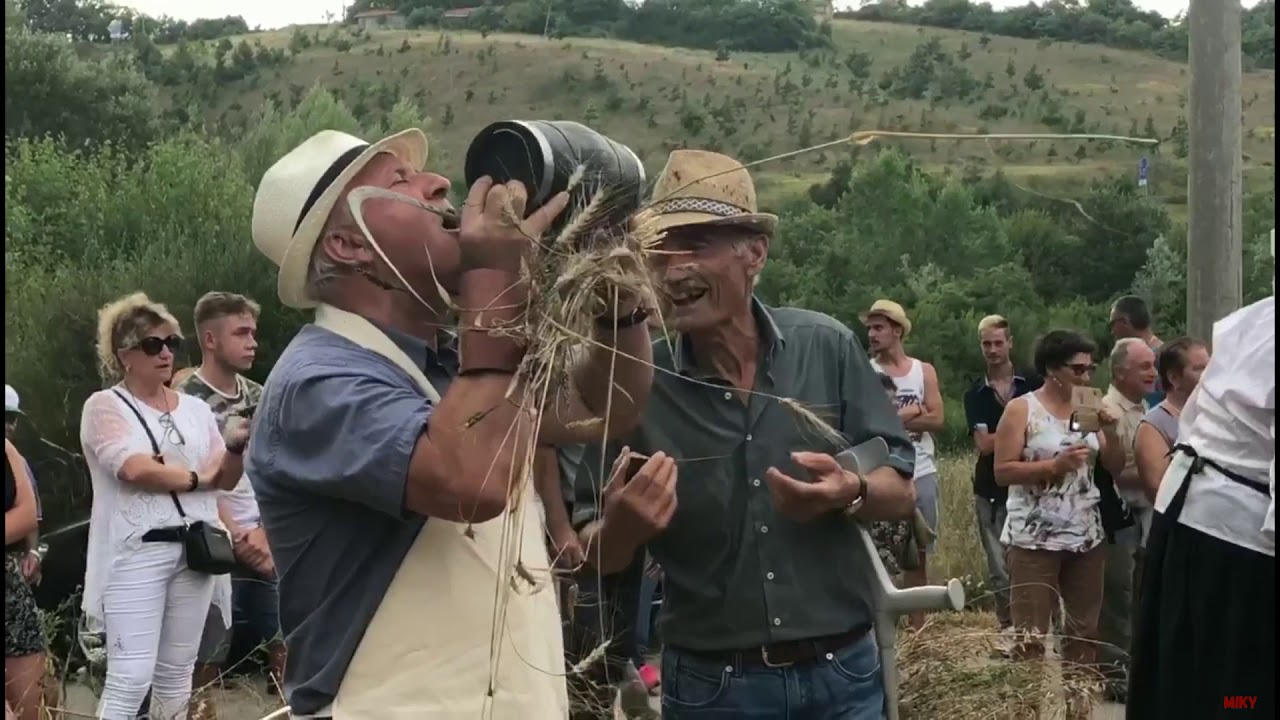 Andiamo a mietere il grano - La vera mietitura di una volta