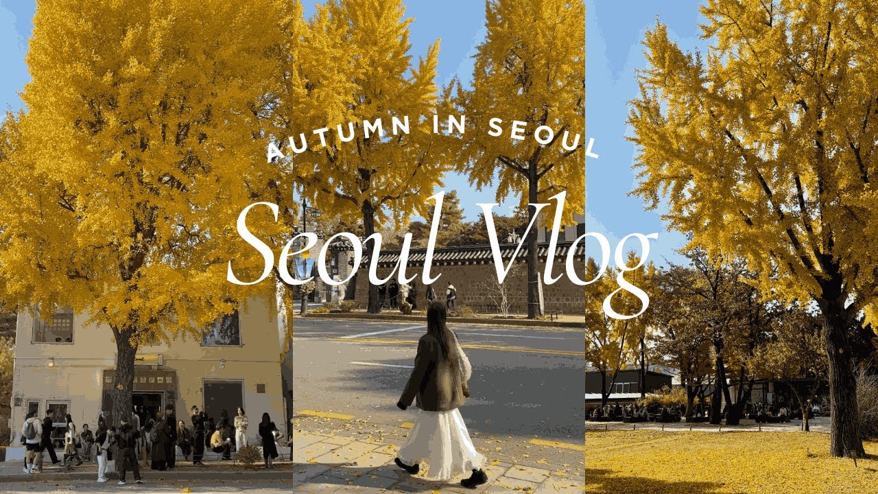 ［韓国vlog］秋のソウルvlog🍂(ソチョン/景福宮/安国),너무 아름다운 안국의 가을🍁 (현재 안국에서 가장 핫한 카페, 안국 맛집, 안국 데이트)