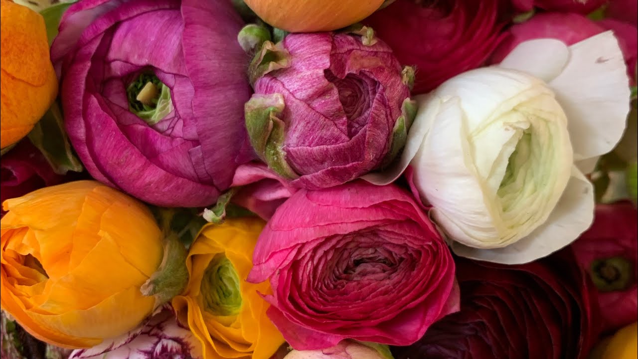 #Deel 1#  bloemen taart met thema voorjaar 🌸