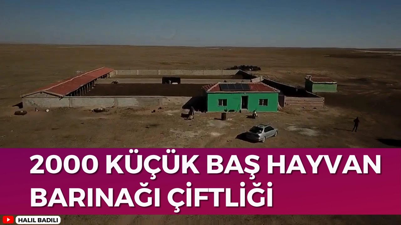 2000 KÜÇÜK BAŞ HAYVAN BARINAĞI ÇİFTLİĞİ