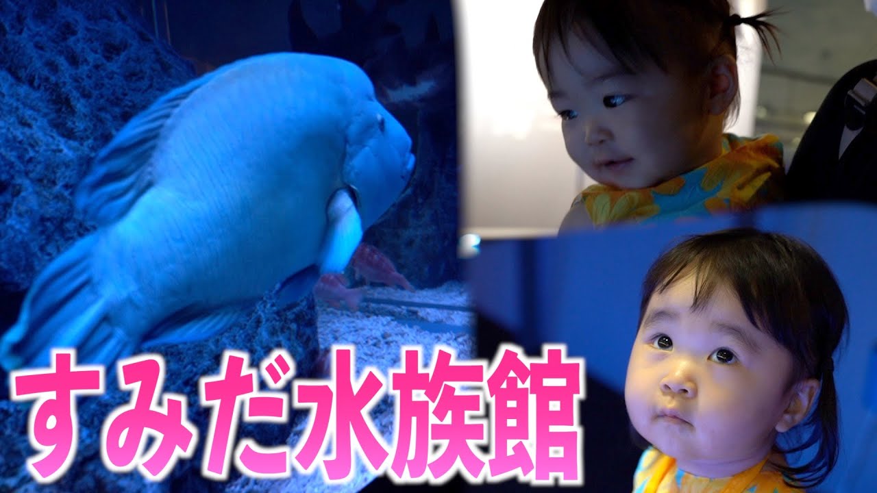 【ホームビデオ】すみだ水族館に行ったよ
