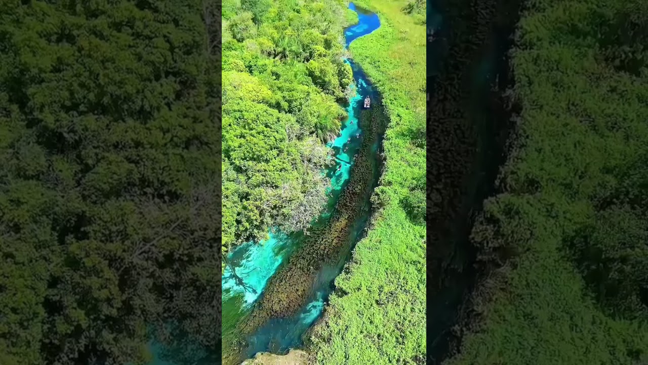 Sucuri River Bonito Ecotourism, Brazil