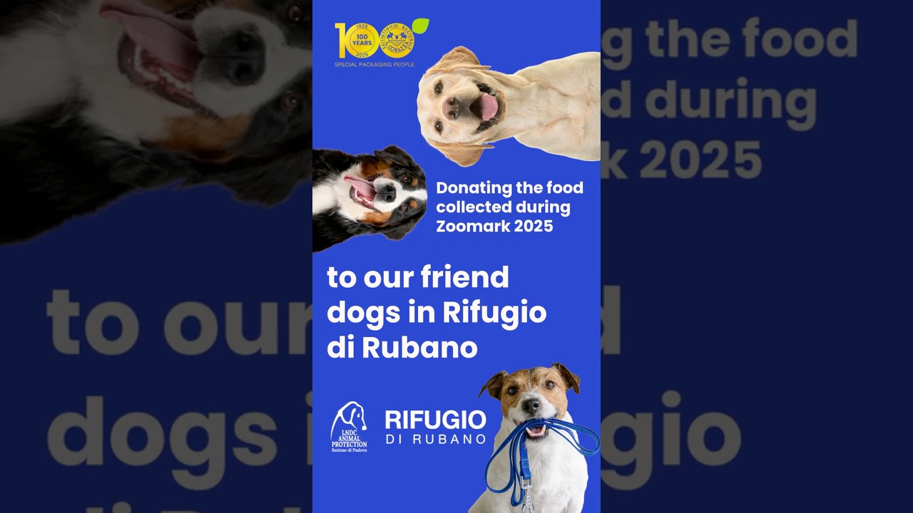 Our friend dogs in Rifugio di Rubano 🐾