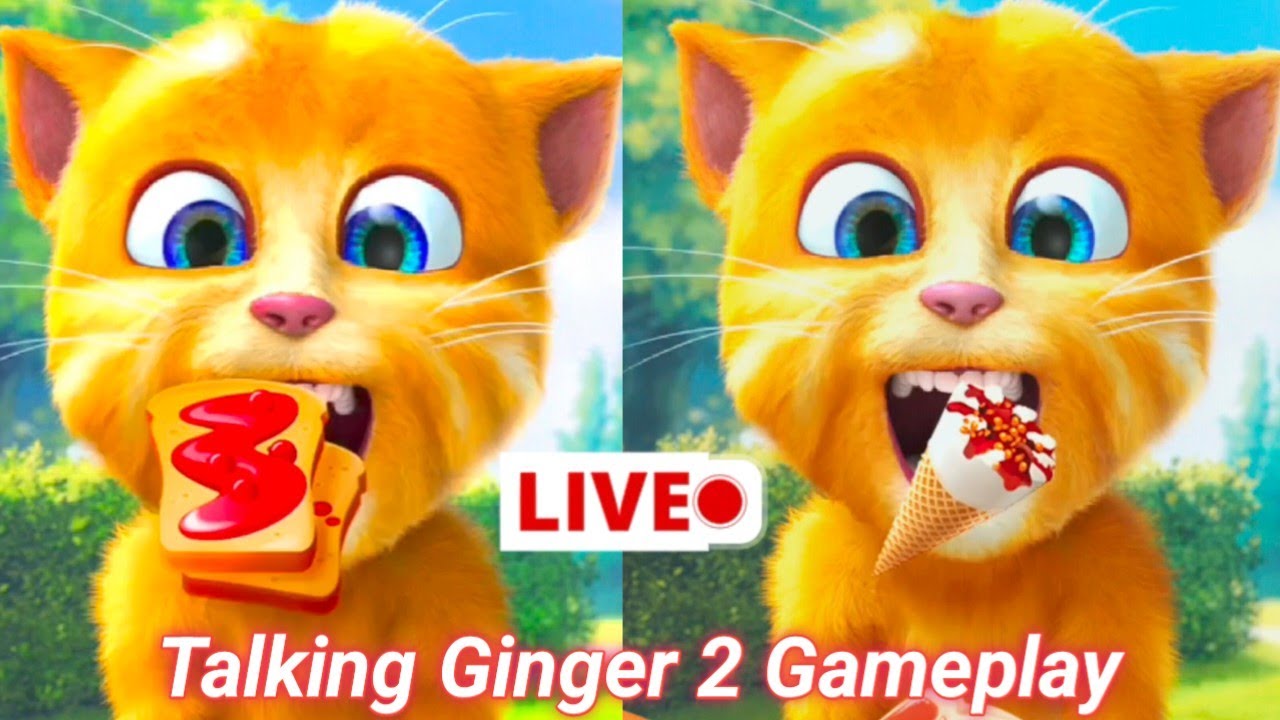 Talking Ginger 2 Gameplay | Live Streaming |