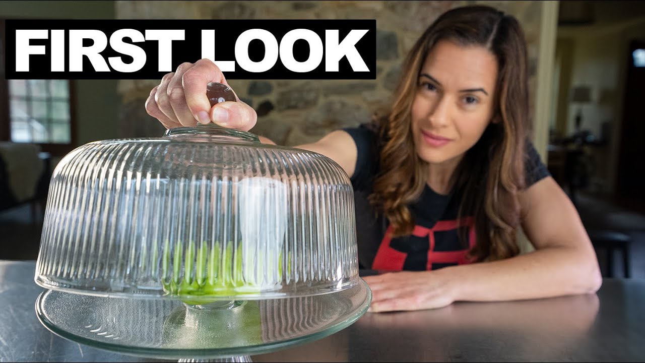 Big Reveal: the world's rarest superfood