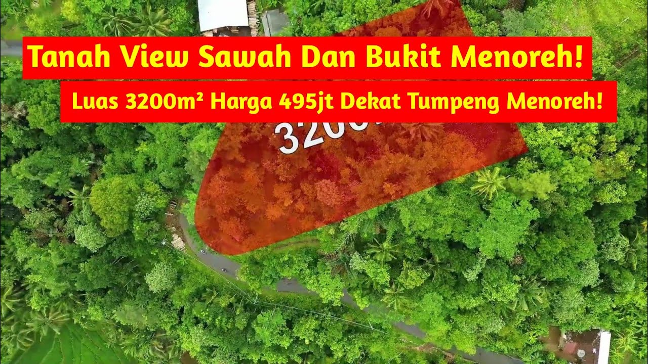 Tanah View Sawah Dan Bukit Menoreh! Luas 3200m² Harga 495jt Dekat Tumpeng Menoreh!