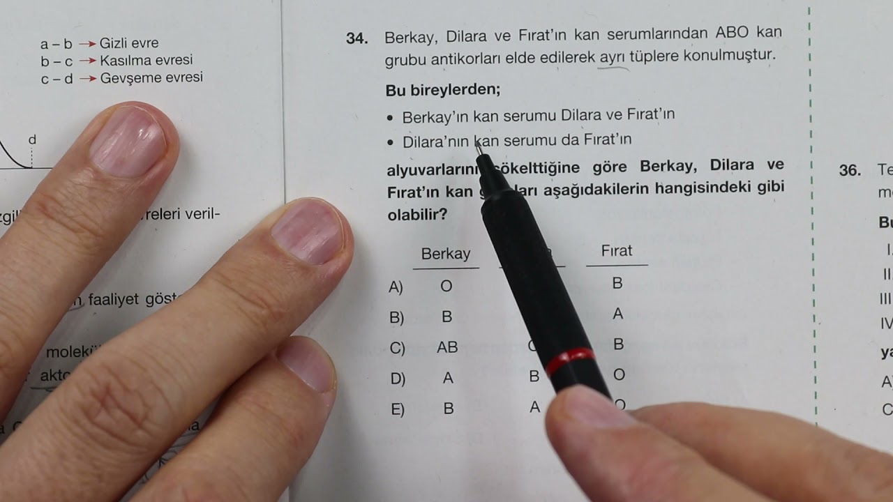 Final Kurumsal Deneme-4 AYT Biyoloji Çözümleri