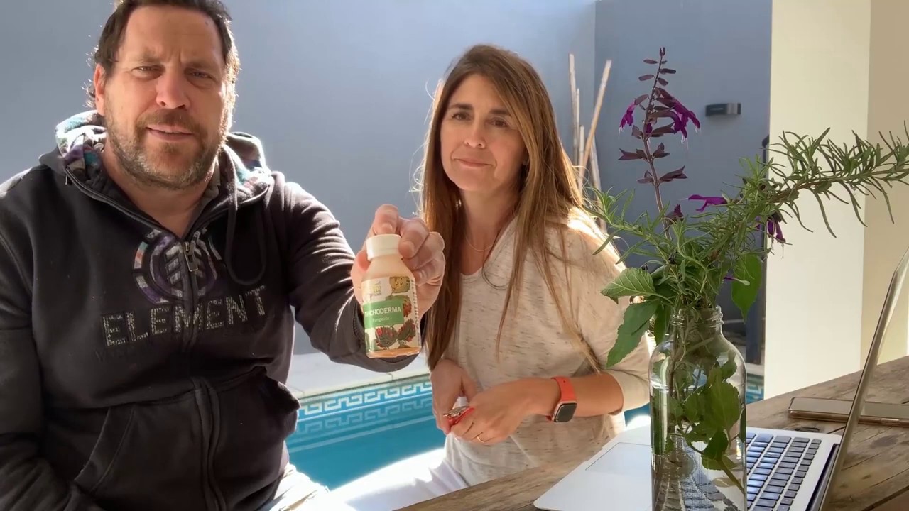 &iquest;Qu&eacute; es un Fungicida? y &iquest;C&oacute;mo utilizarlo? Trichoderma, fungicida natural