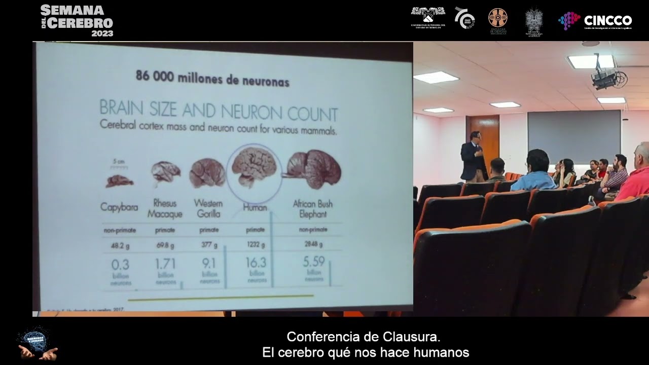 El cerebro qu&eacute; nos hace humanos - Semana del Cerebro 2023