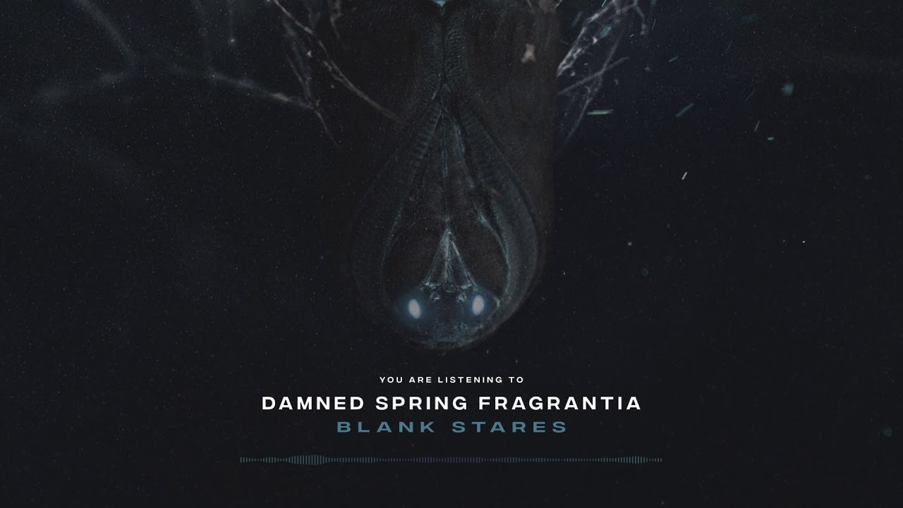 Damned Spring Fragrantia - Blank Stares