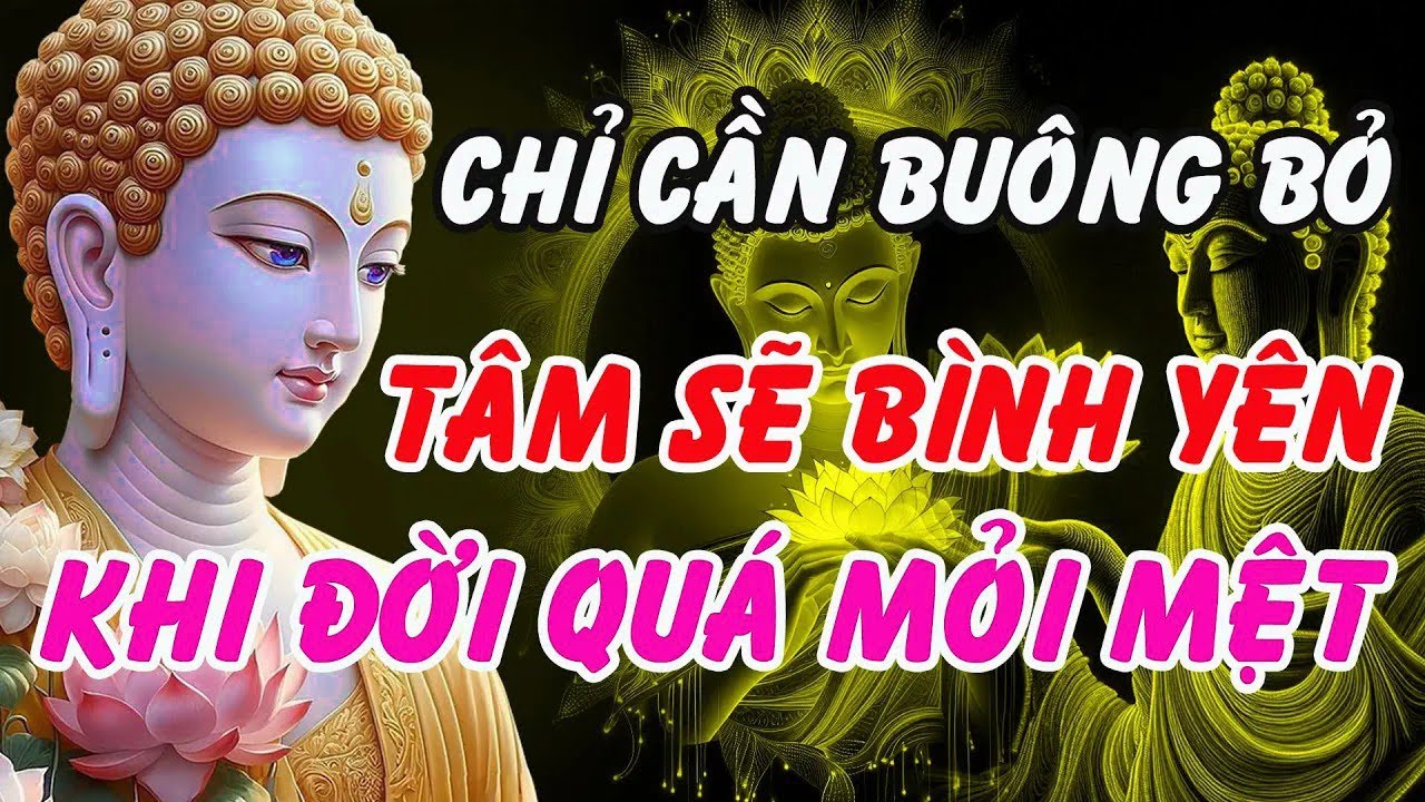 Chỉ Cần Buông Bỏ, Tâm Sẽ Bình Yên – Lắng Nghe Lời Phật Dạy Giữa Những Ngày Mỏi Mệt