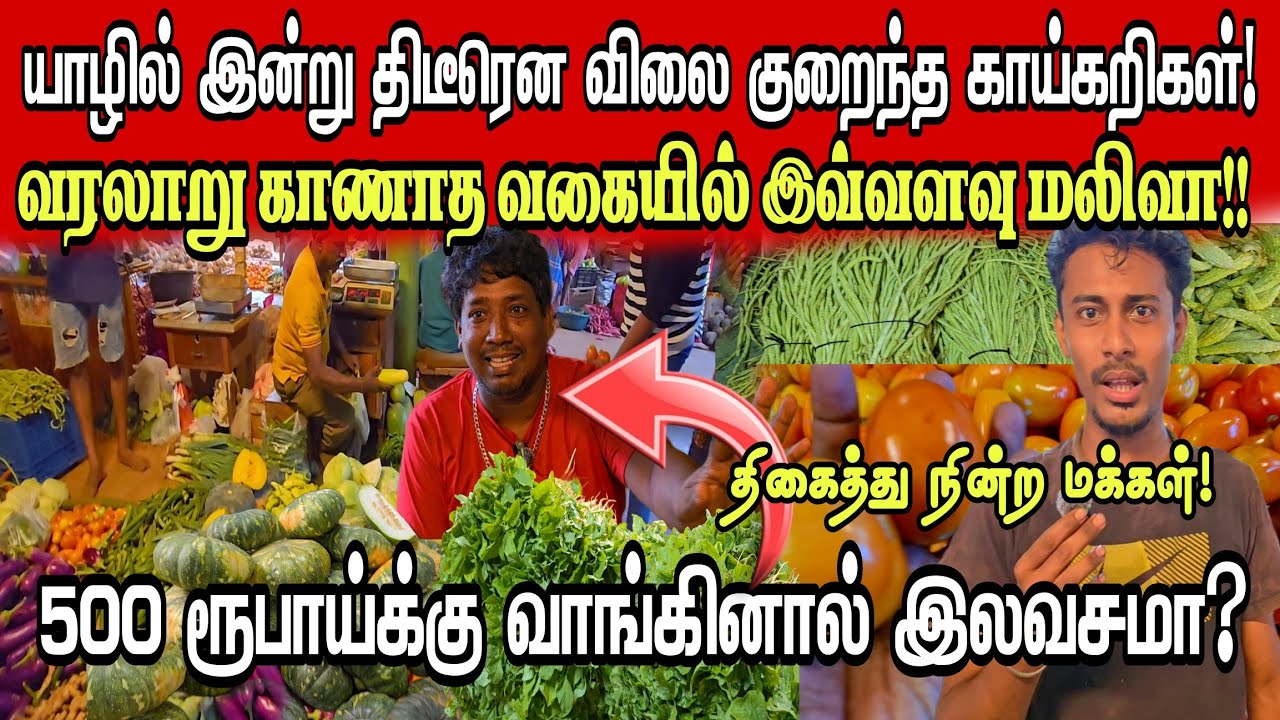 🔴யாழில்  திடீரென வரலாறுகாணாத வகையில் மலிவு விலையில் காய்கறிகள்! சந்தையில் இலவசமா? திகைத்துபோன மக்கள்