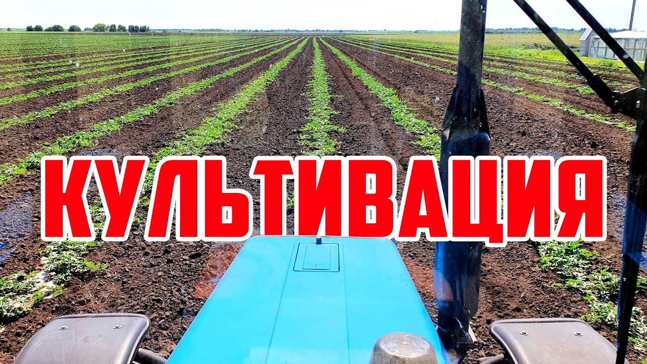 Культивация 12 06 20