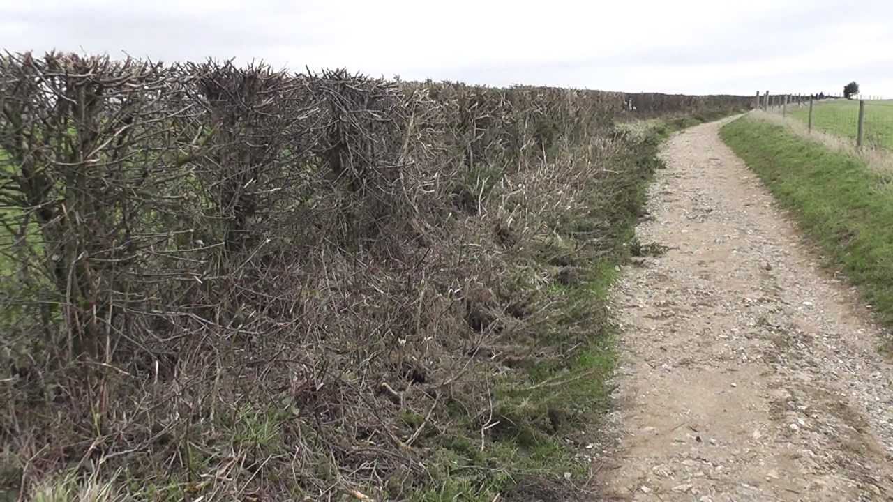 Time Out Walks, Book 1, Walk 29, Hassocks to Lewes. 8/1/12