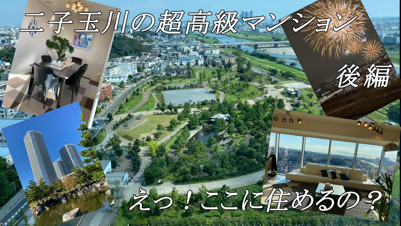 【ルームツアー】二子玉川ライズタワー＆レジデンス　セントラルタワー　2107号室　後編