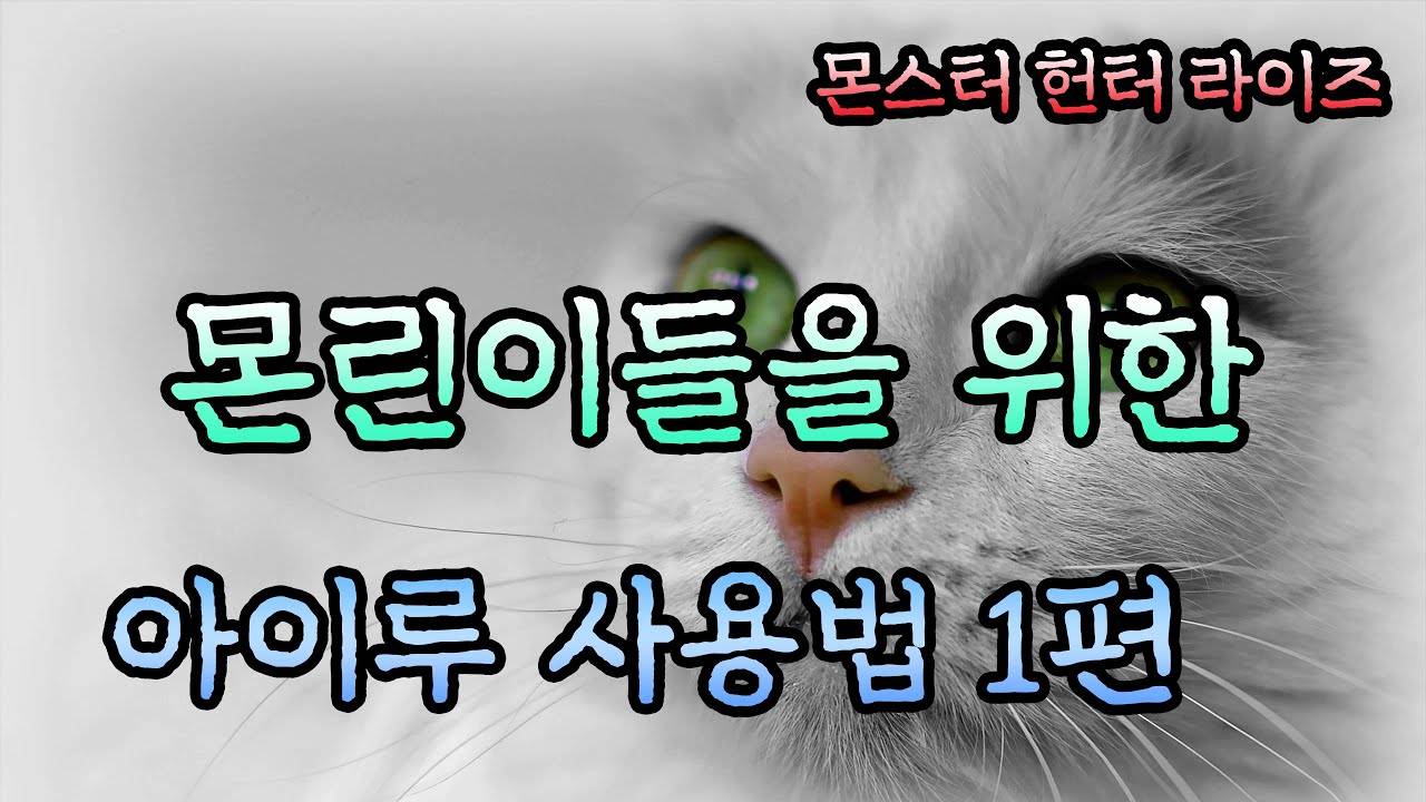 [몬스터헌터 라이즈] 몬린이들을 위한 아이루 사용법 1편!!