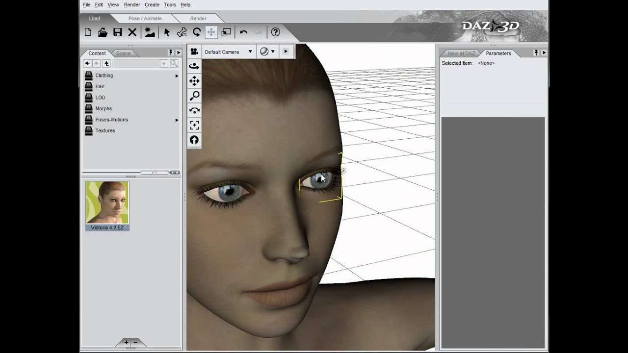 Daz Studio, Hexagon bridge. Hexagon tutorials (dh)